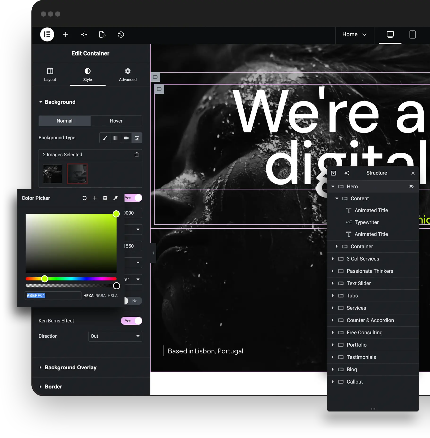 WordPress Website Designers